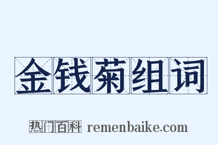 金钱菊组词是什么意思的图片